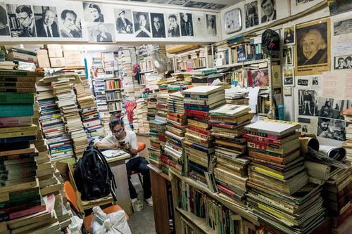 買(mǎi)書(shū)如山倒 從狂熱到理性的閱讀投資之旅